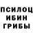 Псилоцибиновые грибы Cubensis uwu.perets