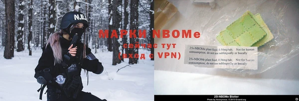 ПСИЛОЦИБИНОВЫЕ ГРИБЫ Осташков
