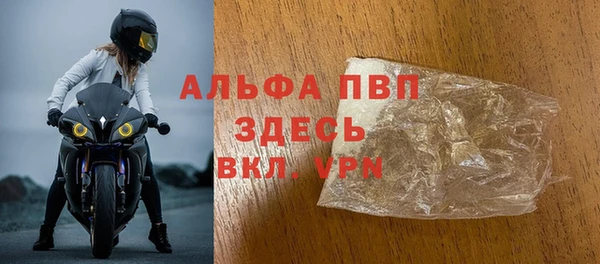 ПСИЛОЦИБИНОВЫЕ ГРИБЫ Осташков