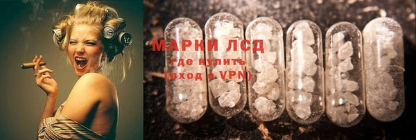 ПСИЛОЦИБИНОВЫЕ ГРИБЫ Осташков