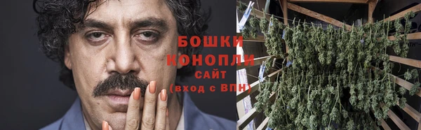 ПСИЛОЦИБИНОВЫЕ ГРИБЫ Осташков